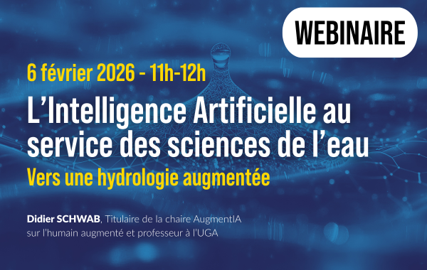 Vignettes-SHF-Webinaire IA